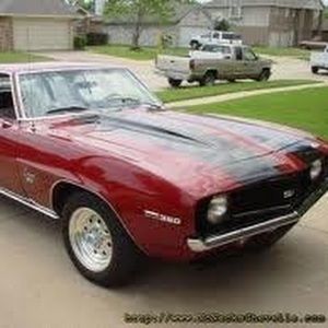 Meet your Posher, Chase